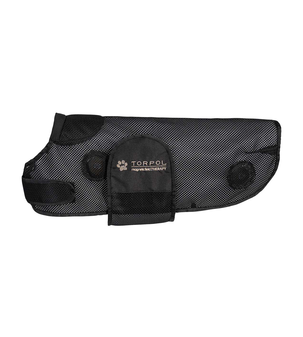 Derka Magnetyczna dla Psa