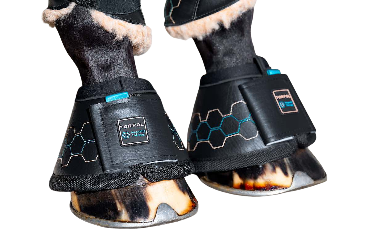 Ochraniacze magnetyczne