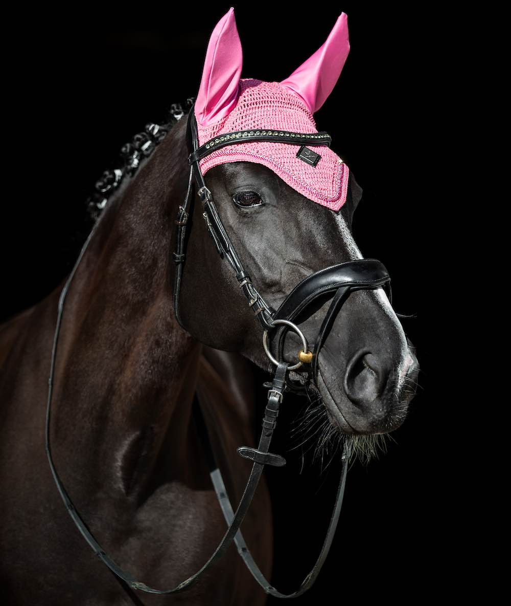 Torpol popular products